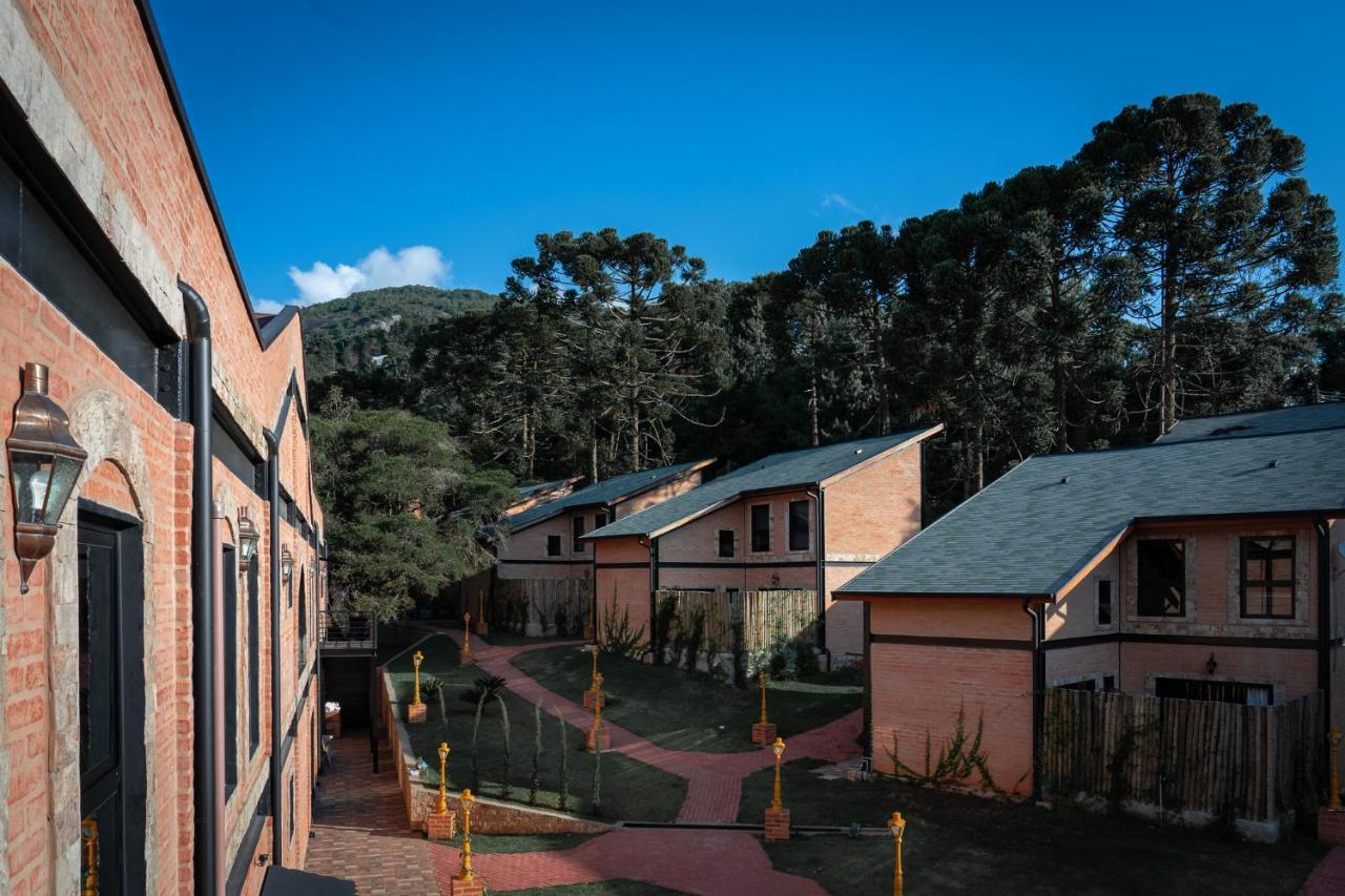 La Pianta - Uma Experiencia Na De Monte Monte Verde (Minas Gerais)